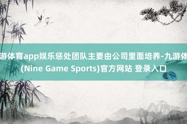 九游体育app娱乐惩处团队主要由公司里面培养-九游体育(Nine Game Sports)官方网站 登录入口